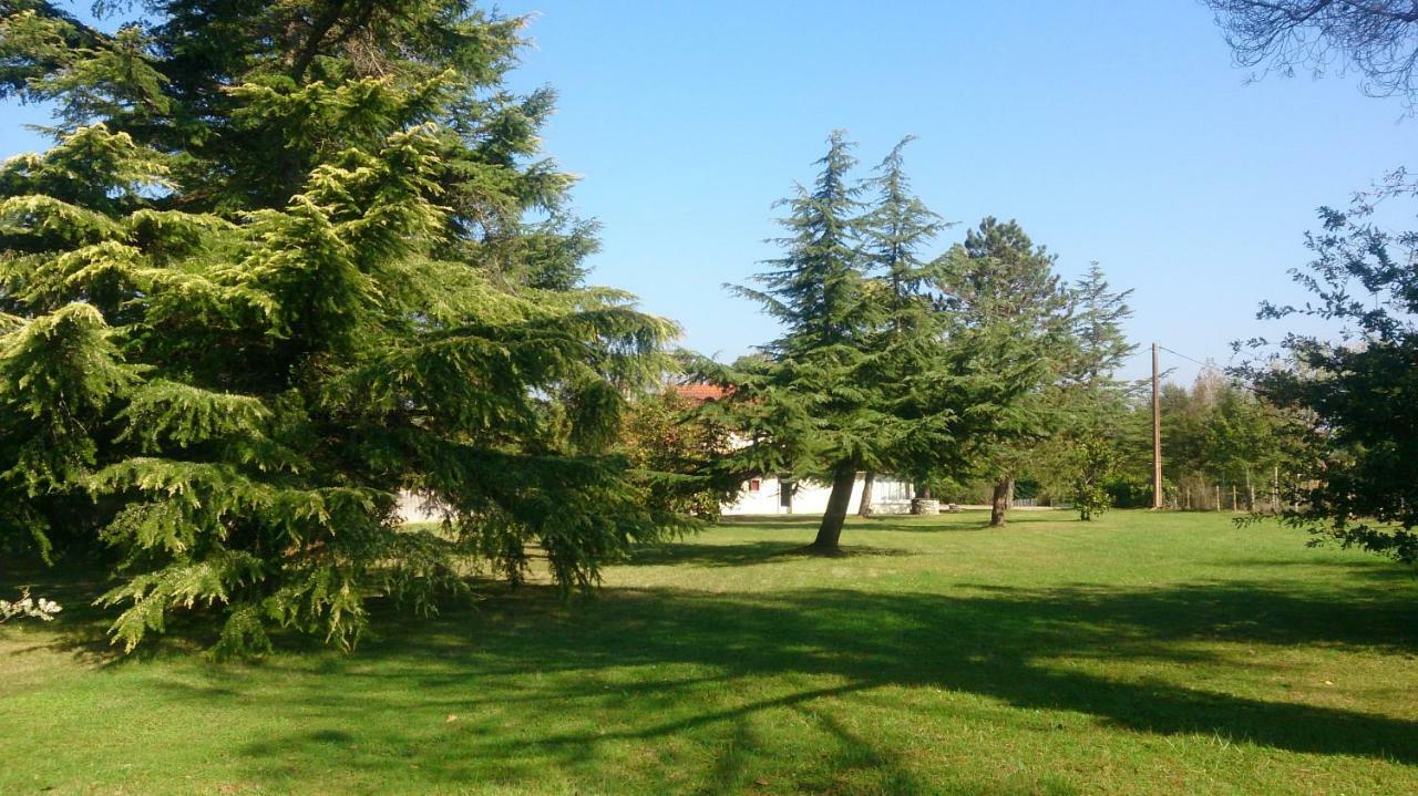 Bed and Breakfast Le Pontet Miramont-de-Guyenne Экстерьер фото